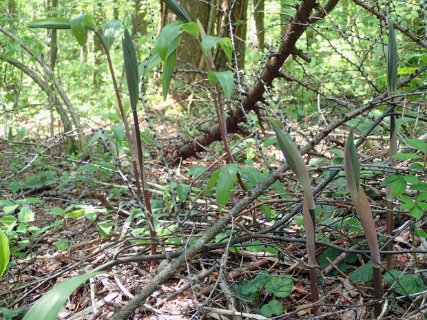 f0214649_3444934.jpg