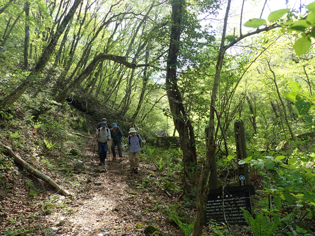 f0214649_3511817.jpg