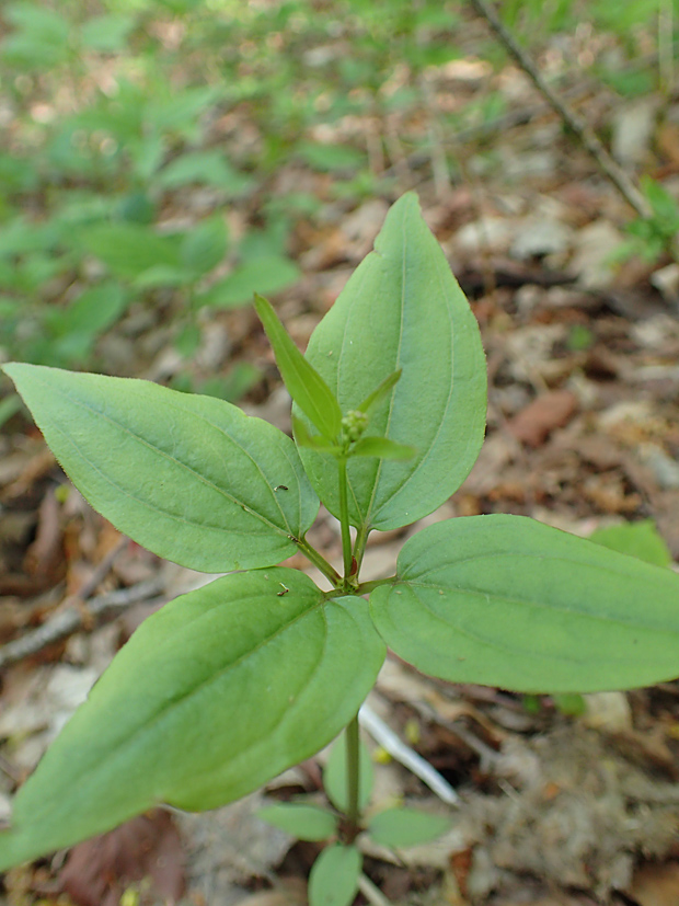 f0214649_3515320.jpg