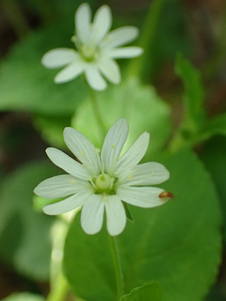 f0214649_355269.jpg