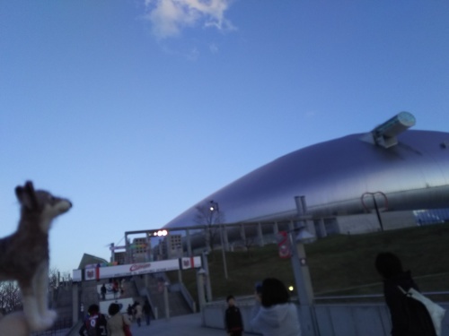 d0343155_11084492.jpg