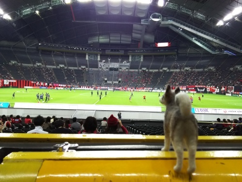 d0343155_11091135.jpg