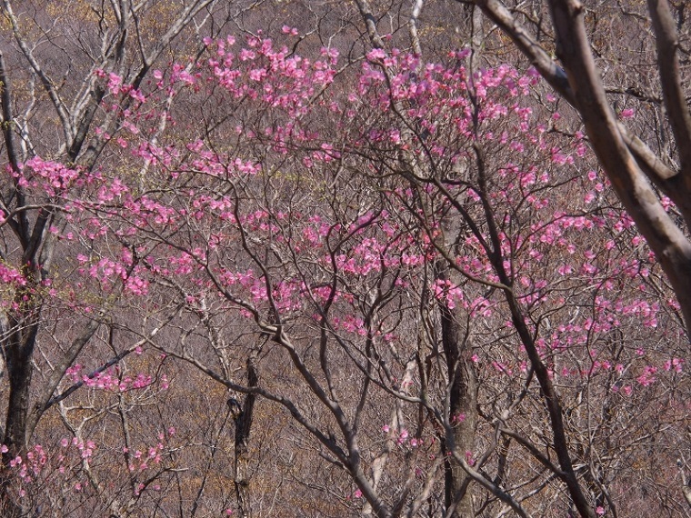 b0335256_20324499.jpg