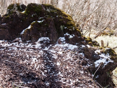 b0335256_21035611.jpg