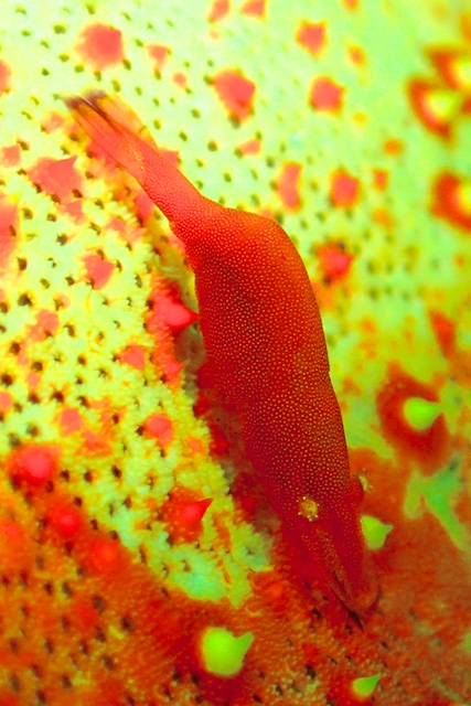 b0062363_17132792.jpg