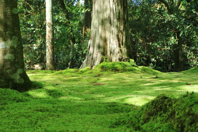 f0345263_00211700.jpg
