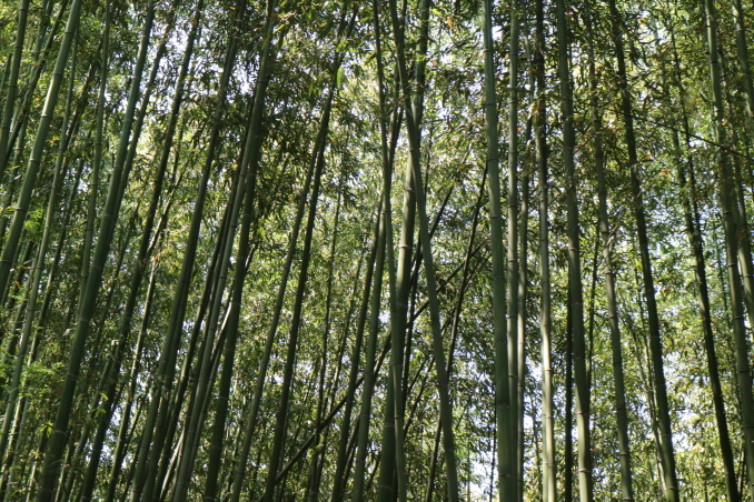 f0345263_22341237.jpg