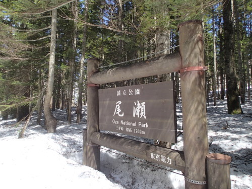 c0321967_13505011.jpeg