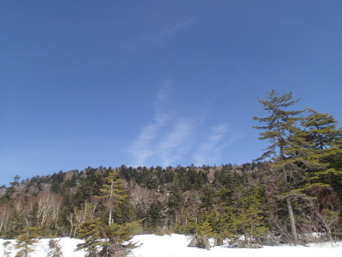 c0321967_14092637.jpeg