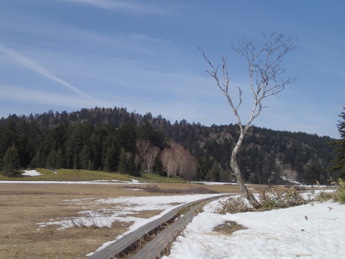 c0321967_14252984.jpeg