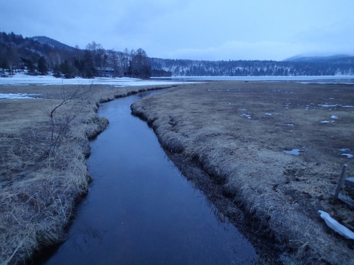c0321967_14461324.jpeg