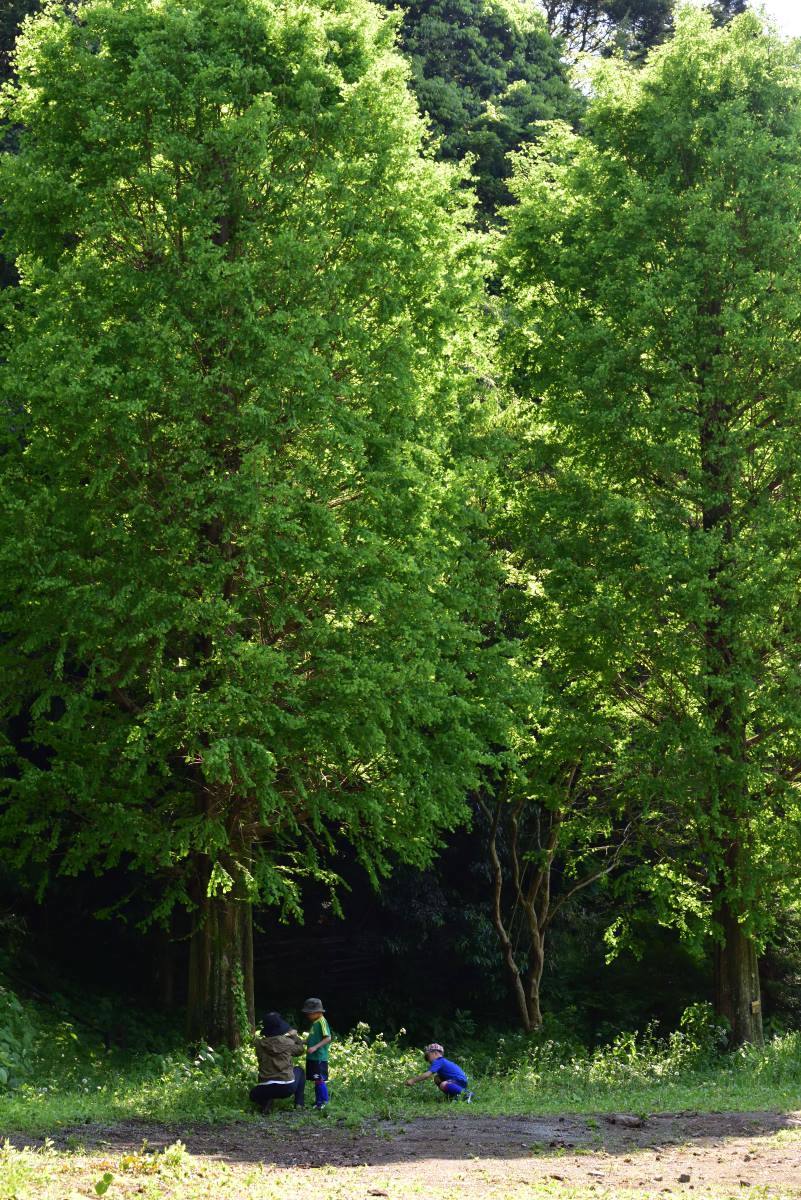 b0346568_21091240.jpg