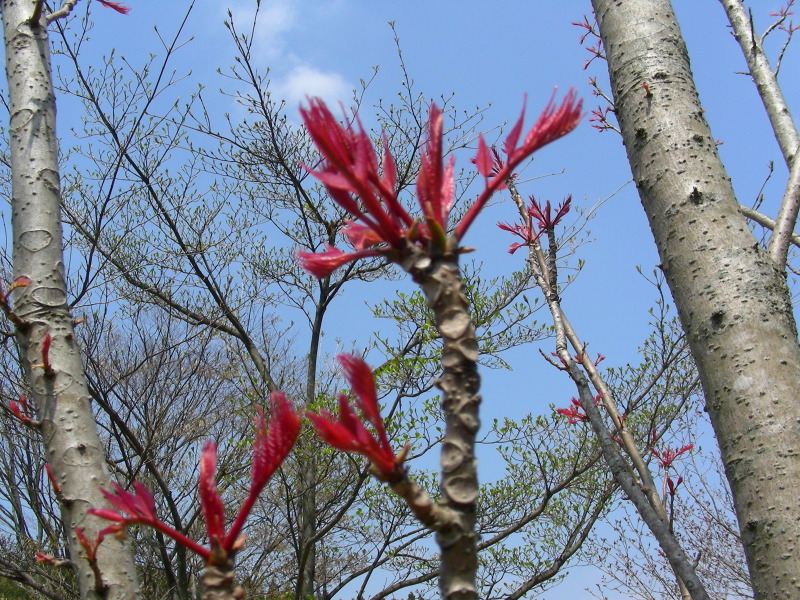 b0305770_21403542.jpg
