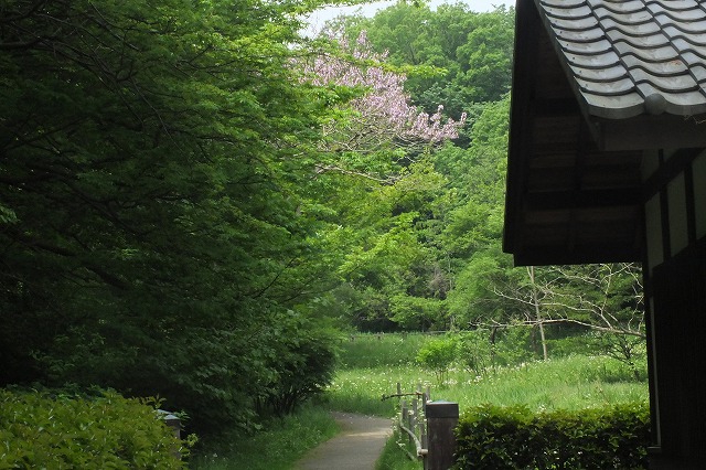 e0339873_1745517.jpg