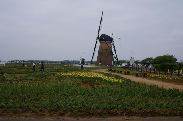 a0113874_8555052.jpg