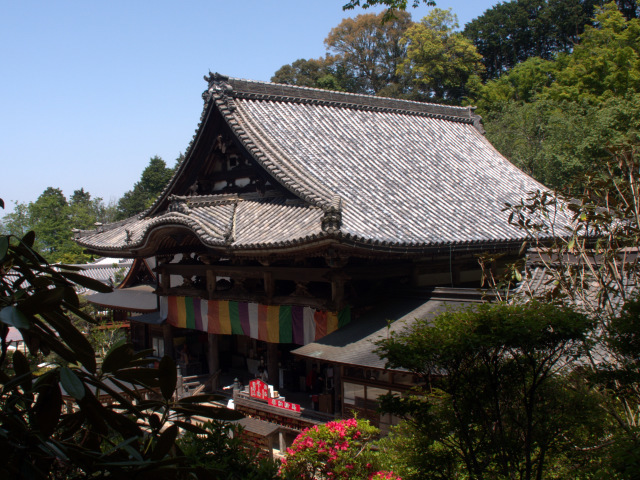 d0042474_11495258.jpg