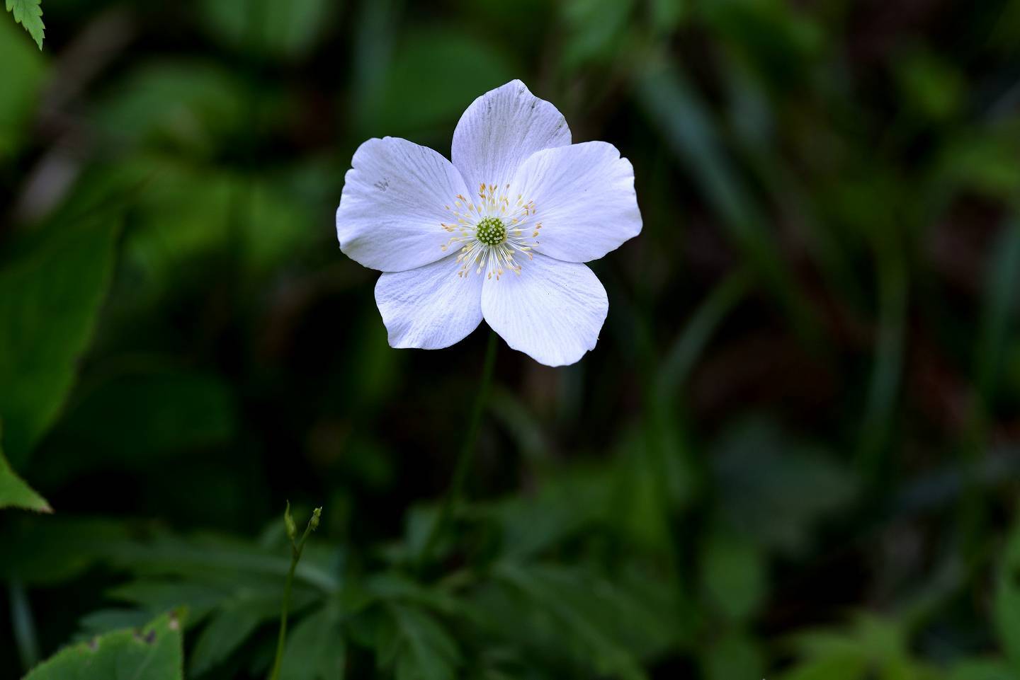 d0328977_11301276.jpg