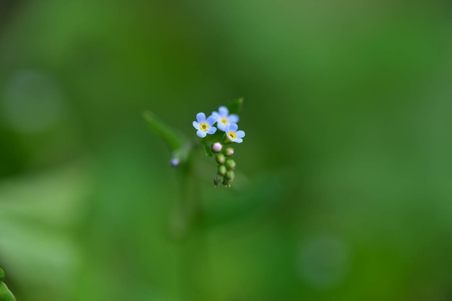 d0328977_11511161.jpg