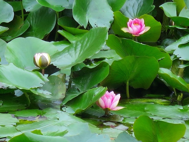 b0326483_15082562.jpg