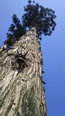 c0145183_20433441.jpg