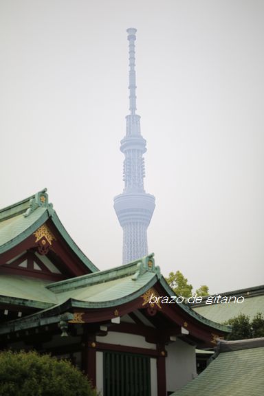 c0212987_1650161.jpg