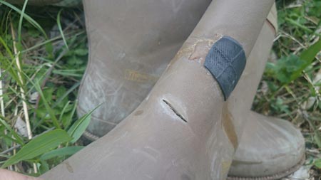 c0146788_938360.jpg