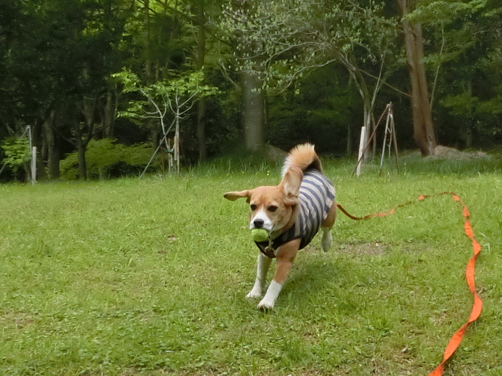 a0319693_2245349.jpg