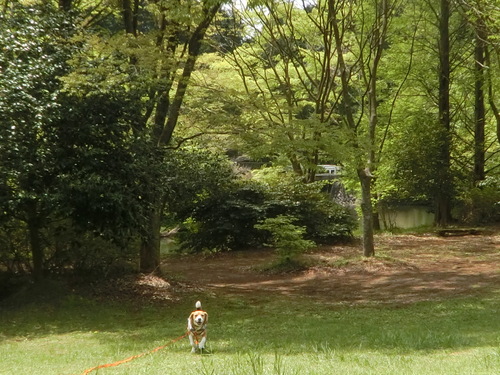 a0319693_2395033.jpg