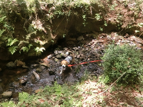 a0319693_292545.jpg