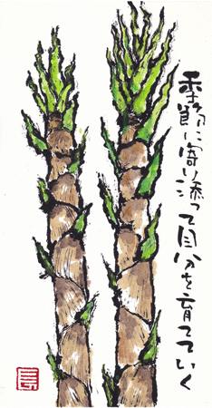 a0030594_2313506.gif