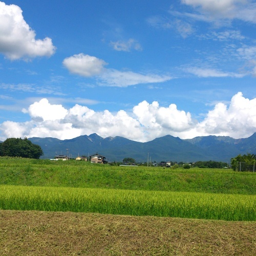 a0334295_21180152.jpg