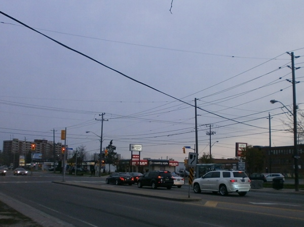 d0000995_015199.jpg