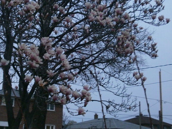 d0000995_0181618.jpg
