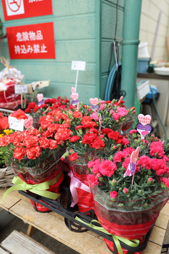 b0275998_21155187.jpg