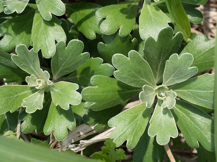f0224100_21295286.jpg