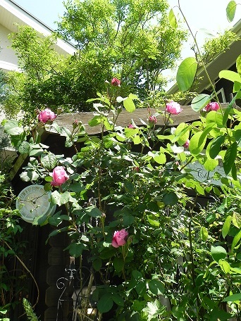 c0152002_18195681.jpg
