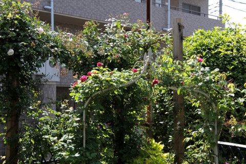 d0166303_1982386.jpg