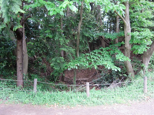 e0245404_19551230.jpg
