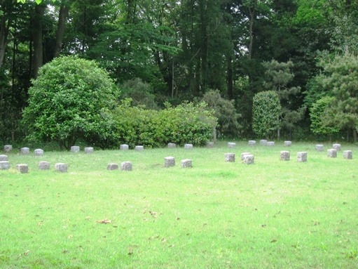 e0245404_1955486.jpg