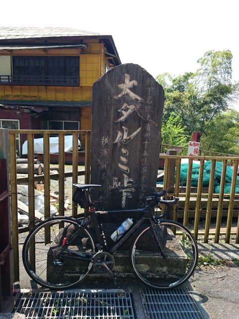 f0100911_213039.jpg