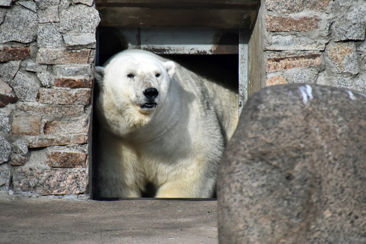 a0151913_3453654.jpg
