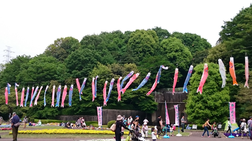 d0113613_1441993.jpg