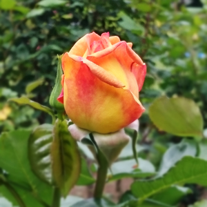 d0113613_14583777.jpg