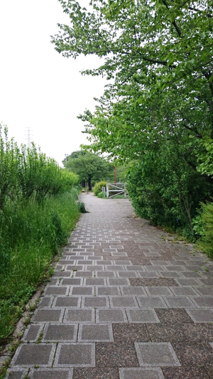 d0113613_15112059.jpg