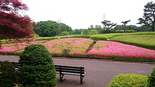 d0113613_1573711.jpg