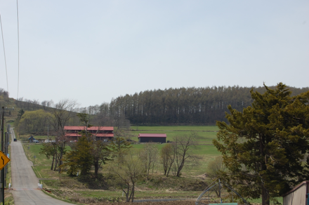 a0114514_8562927.png