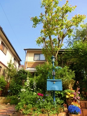 c0204121_930109.jpg