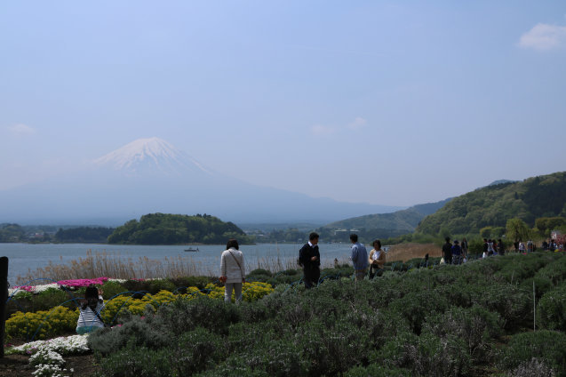 a0037322_15204679.jpg