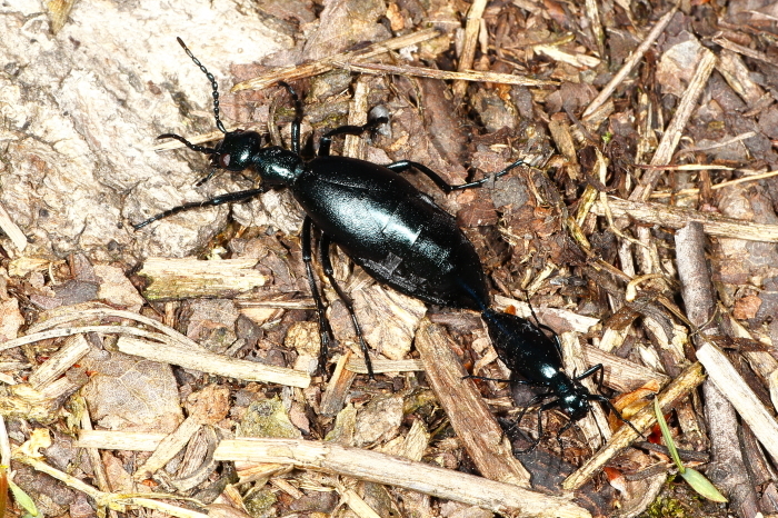 e0337826_06224540.jpg