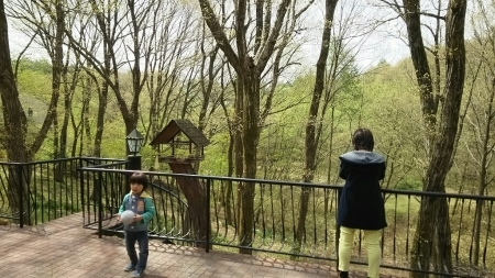 f0114128_06563712.jpg